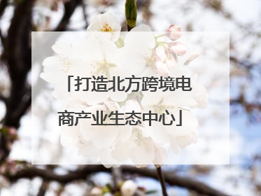 打造北方跨境电商产业生态中心