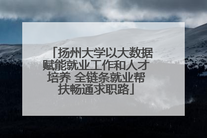 扬州大学以大数据赋能就业工作和人才培养 全链条就业帮扶畅通求职路