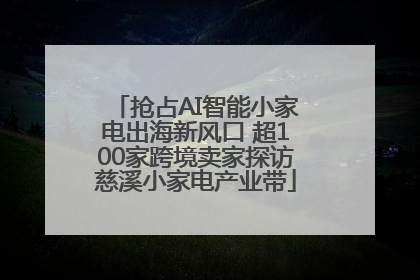 抢占AI智能小家电出海新风口 超100家跨境卖家探访慈溪小家电产业带