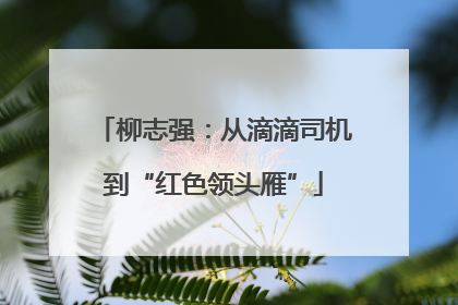 柳志强：从滴滴司机到“红色领头雁”