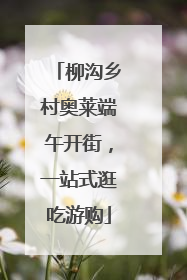 柳沟乡村奥莱端午开街，一站式逛吃游购