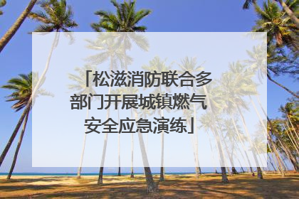 松滋消防联合多部门开展城镇燃气安全应急演练