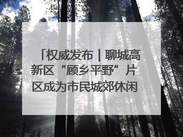 权威发布｜聊城高新区“顾乡平野”片区成为市民城郊休闲全新目的地