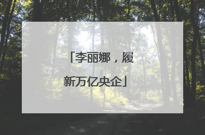 李丽娜，履新万亿央企