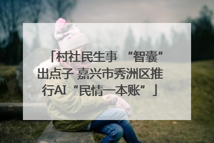 村社民生事 “智囊”出点子 嘉兴市秀洲区推行AI“民情一本账”
