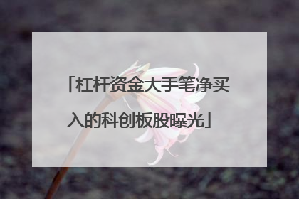 杠杆资金大手笔净买入的科创板股曝光