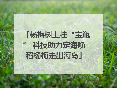 杨梅树上挂“宝瓶” 科技助力定海晚稻杨梅走出海岛