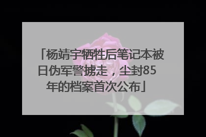 杨靖宇牺牲后笔记本被日伪军警掳走，尘封85年的档案首次公布