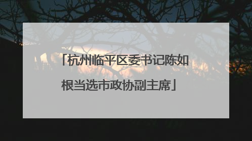 杭州临平区委书记陈如根当选市政协副主席