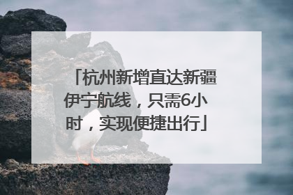 杭州新增直达新疆伊宁航线，只需6小时，实现便捷出行