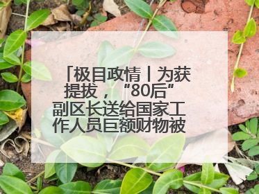 极目政情丨为获提拔，“80后”副区长送给国家工作人员巨额财物被“双开”
