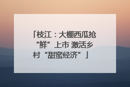 枝江：大棚西瓜抢“鲜”上市 激活乡村“甜蜜经济”
