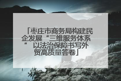枣庄市商务局构建民企发展“三维服务体系” 以法治保障书写外贸高质量答卷