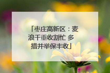 枣庄高新区：麦浪千重收割忙 多措并举保丰收