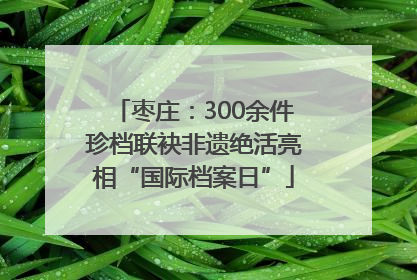 枣庄：300余件珍档联袂非遗绝活亮相“国际档案日”