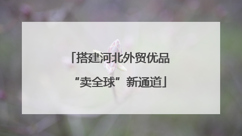 搭建河北外贸优品“卖全球”新通道