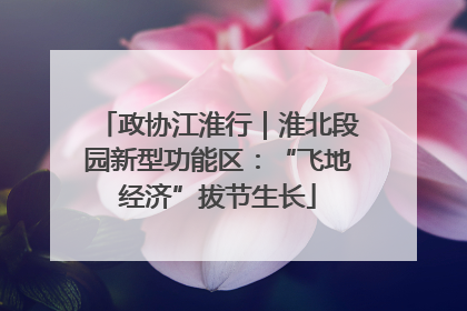 政协江淮行｜淮北段园新型功能区：“飞地经济”拔节生长