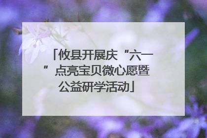 攸县开展庆“六一”点亮宝贝微心愿暨公益研学活动