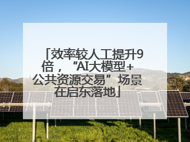 效率较人工提升9倍，“AI大模型+公共资源交易”场景在启东落地