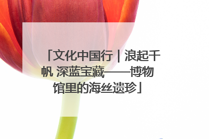 文化中国行｜浪起千帆 深蓝宝藏——博物馆里的海丝遗珍