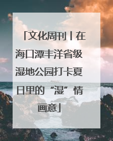 文化周刊丨在海口潭丰洋省级湿地公园打卡夏日里的“湿”情画意