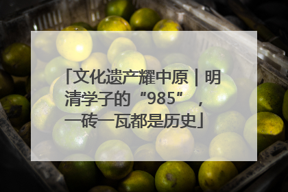 文化遗产耀中原｜明清学子的“985”，一砖一瓦都是历史