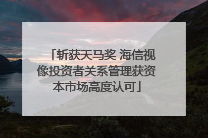 斩获天马奖 海信视像投资者关系管理获资本市场高度认可