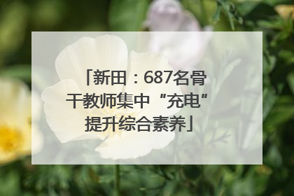 新田：687名骨干教师集中“充电” 提升综合素养