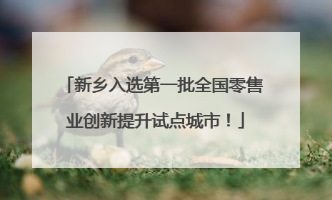 新乡入选第一批全国零售业创新提升试点城市！
