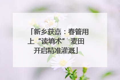 新乡获嘉：春管用上“读墒术” 麦田开启精准灌溉