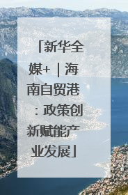 新华全媒+｜海南自贸港：政策创新赋能产业发展