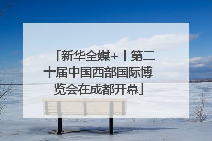 新华全媒+丨第二十届中国西部国际博览会在成都开幕