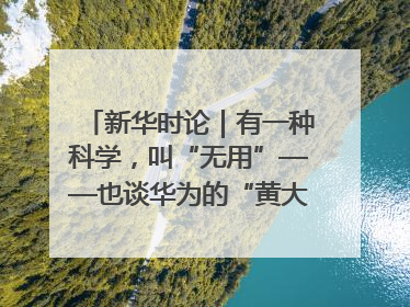 新华时论｜有一种科学，叫“无用”——也谈华为的“黄大年茶思屋”