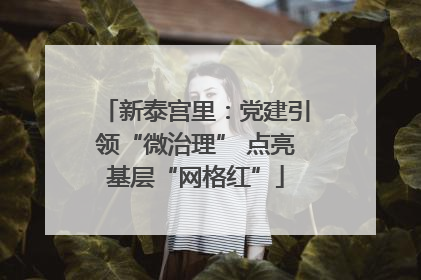 新泰宫里：党建引领“微治理” 点亮基层“网格红”