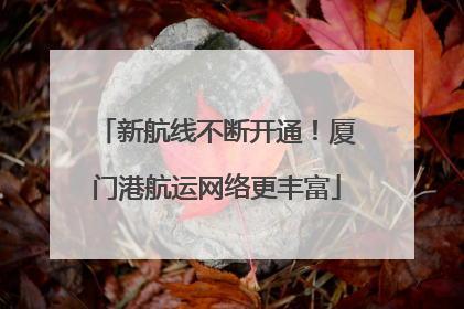 新航线不断开通！厦门港航运网络更丰富
