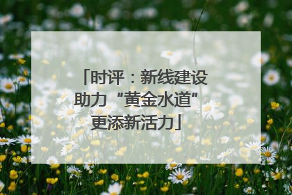 时评：新线建设助力“黄金水道”更添新活力