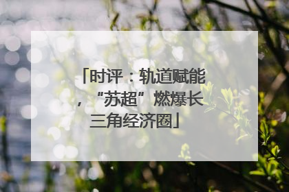 时评：轨道赋能，“苏超”燃爆长三角经济圈