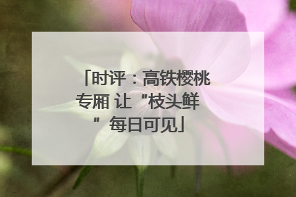 时评：高铁樱桃专厢 让“枝头鲜”每日可见