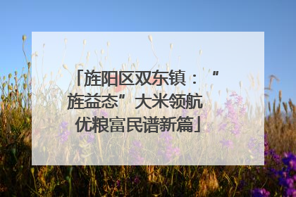 旌阳区双东镇：“旌益态”大米领航 优粮富民谱新篇