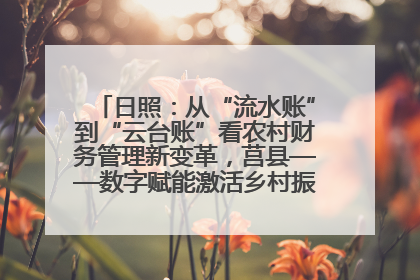 日照：从“流水账”到“云台账”看农村财务管理新变革，莒县——数字赋能激活乡村振兴“一池春水”