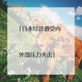 日本经济遭受内外部压力夹击