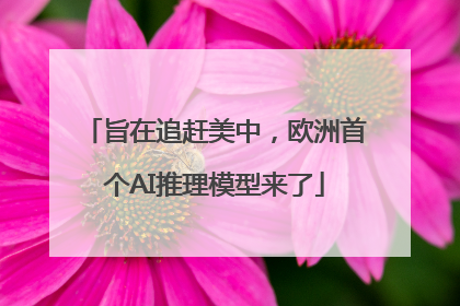 旨在追赶美中，欧洲首个AI推理模型来了