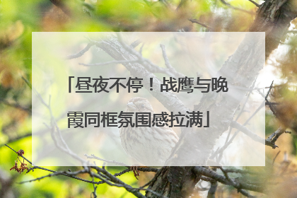 昼夜不停！战鹰与晚霞同框氛围感拉满