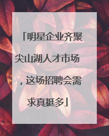 明星企业齐聚尖山湖人才市场，这场招聘会需求真挺多