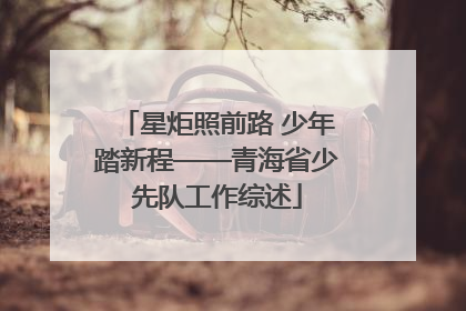 星炬照前路 少年踏新程——青海省少先队工作综述