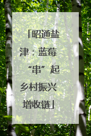 昭通盐津：蓝莓“串”起乡村振兴增收链