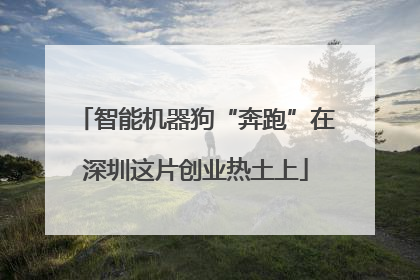 智能机器狗“奔跑”在深圳这片创业热土上