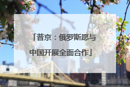 普京：俄罗斯愿与中国开展全面合作