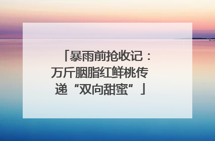 暴雨前抢收记：万斤胭脂红鲜桃传递“双向甜蜜”