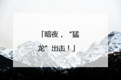 暗夜，“猛龙”出击！